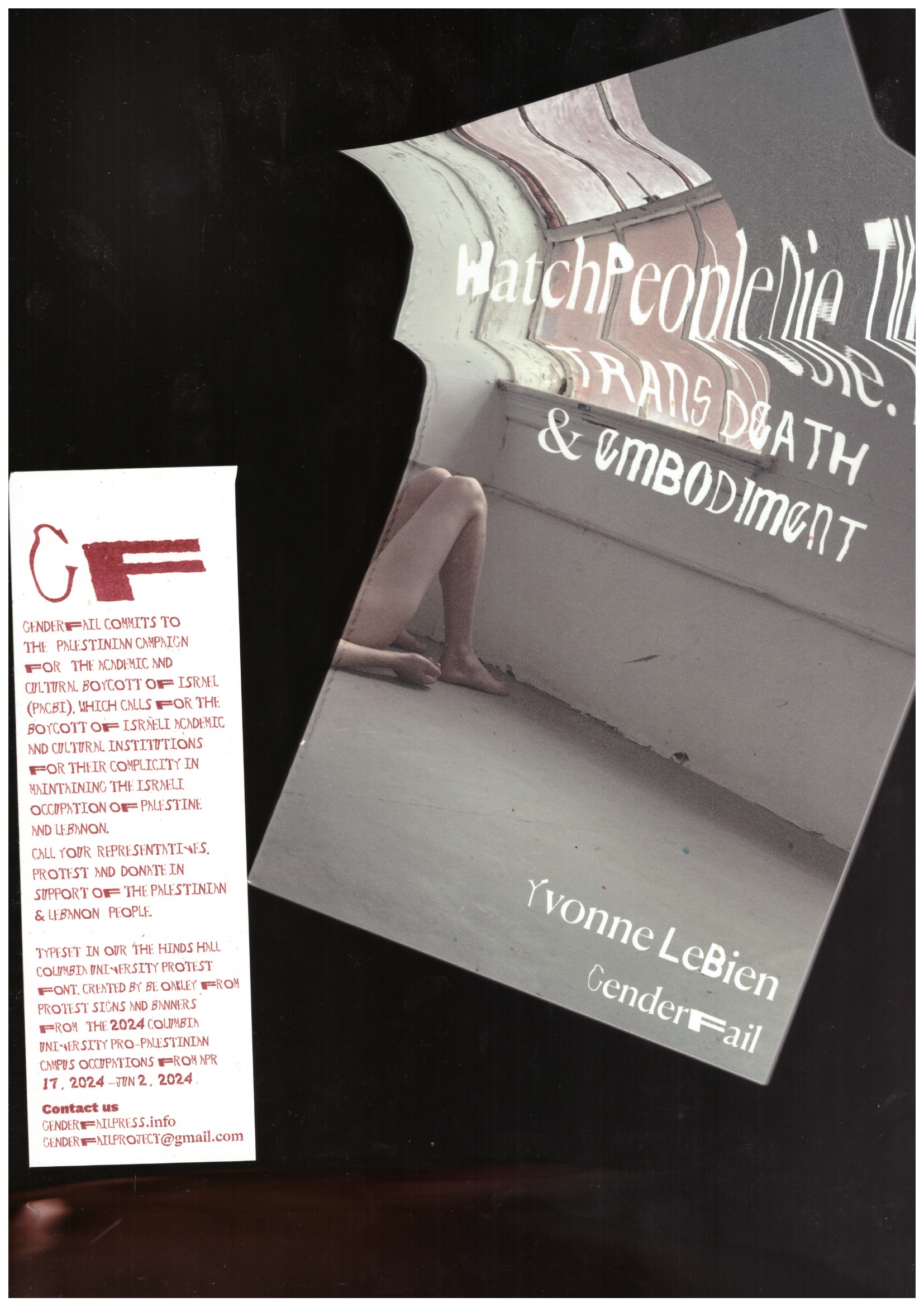 LEBIEN, Yvonne - watchpeopledie.tv: Trans Death and Embodiment